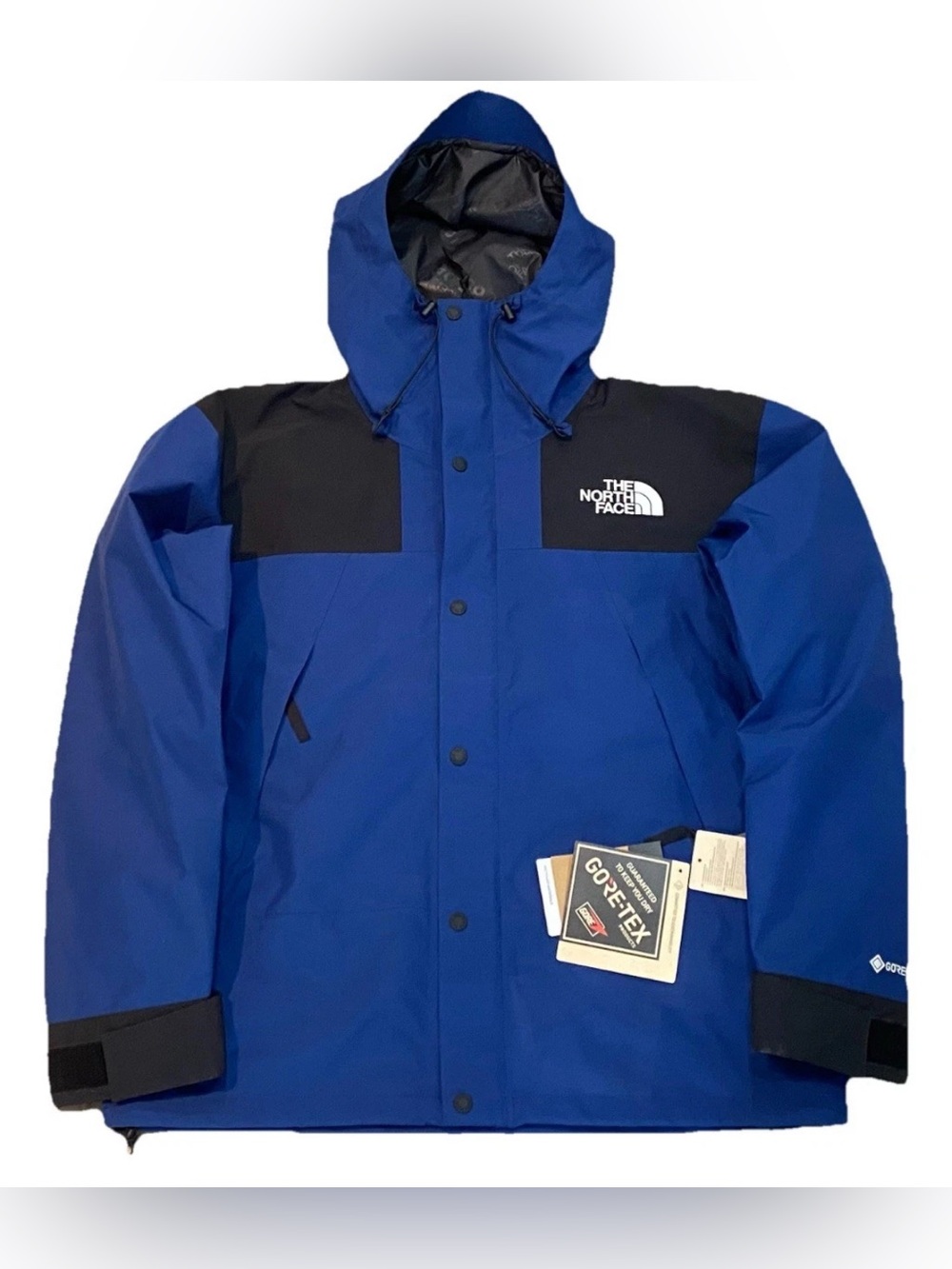 The North Face Mountain Guide Gore-Tex Jacket